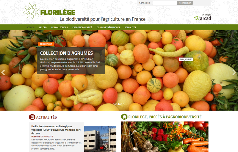 Florilège portal home page